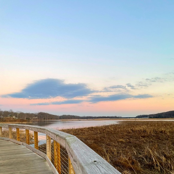 Meet your Posher, Yesse - Picture 4 of 4